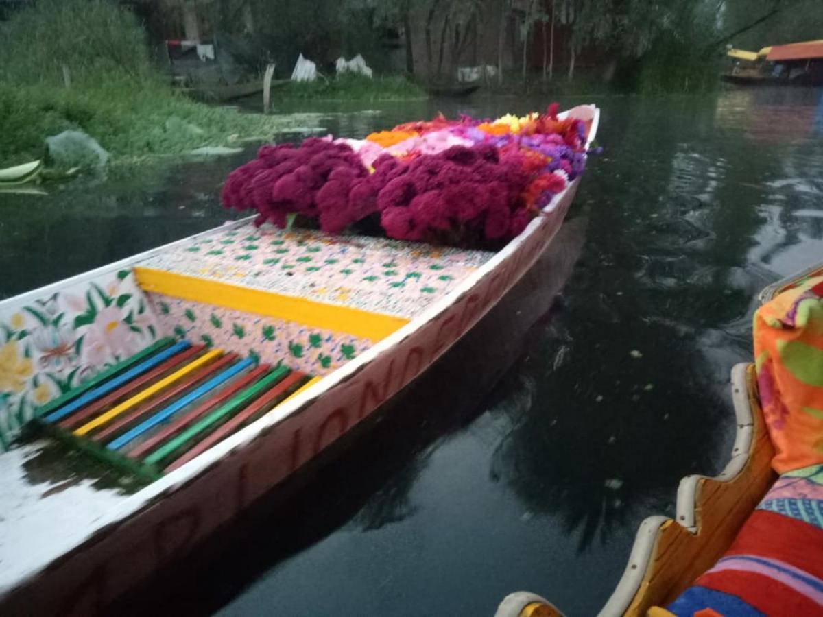 Umbrella Group Of House Boat Hotell Srīnagar Exteriör bild